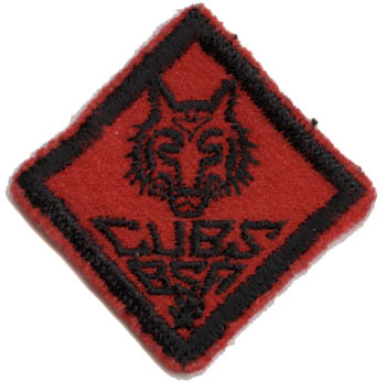 My Personal History of Cub Scouting | North Shore District